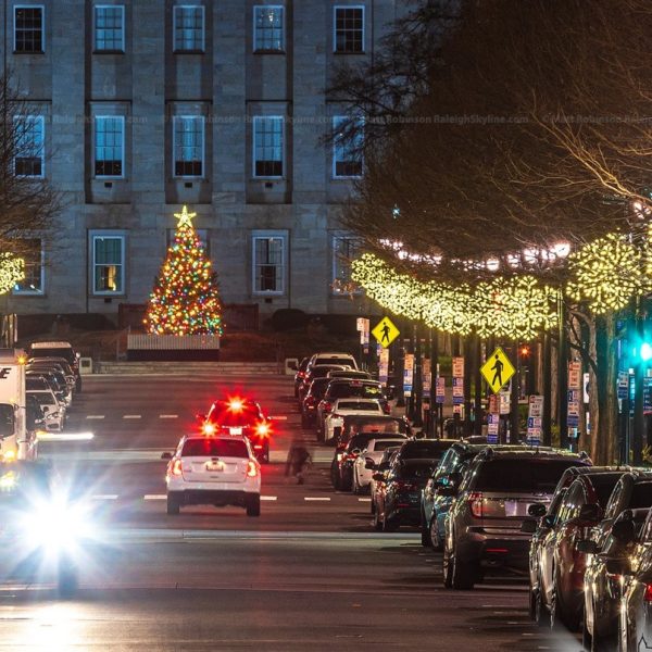 1-Holiday Street Lights -Snowflakes/decorative lighting & Holiday Entertainment - Image 4