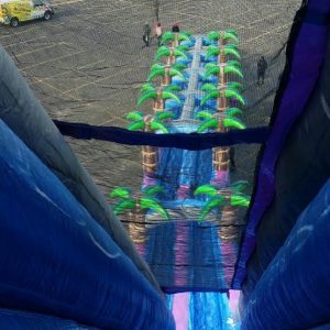 Slide - Purple Crush - Image 3