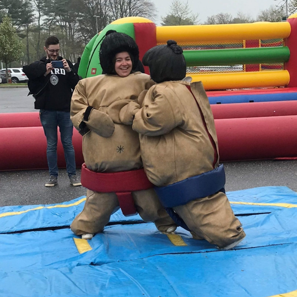 Sumo Wrestling