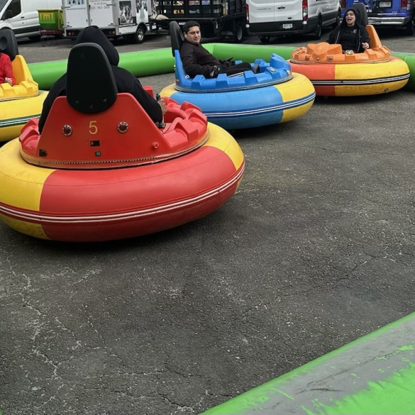 Bumper Cars 1