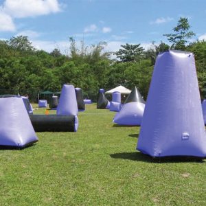 Laser Tag Pro - Image 3