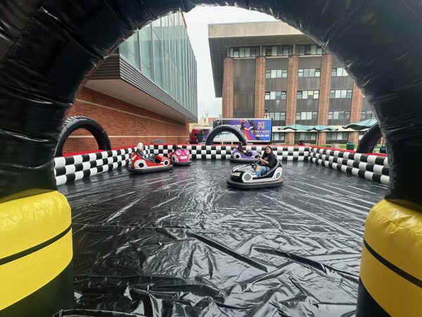 Bumper Cars - Image 5