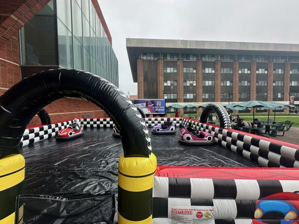 Bumper Cars - Image 6