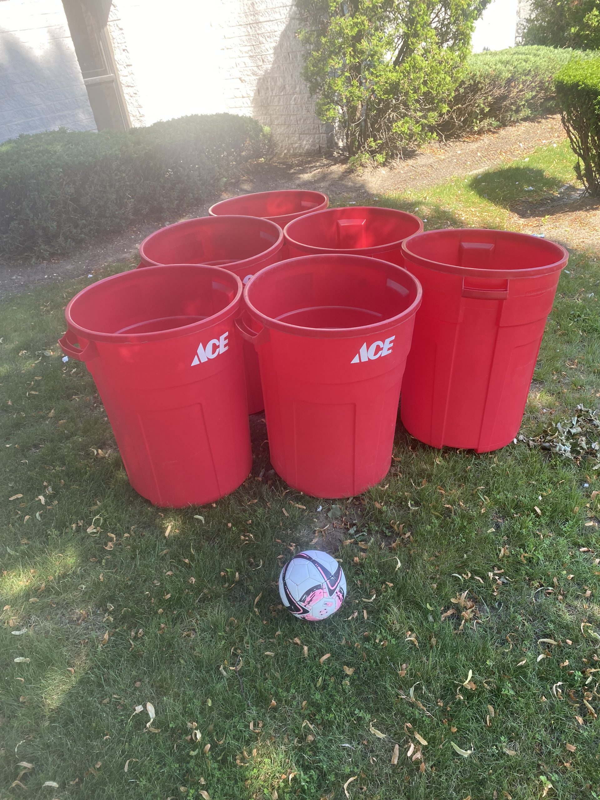 Giant Pong