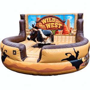 Mechanical Bull Rental