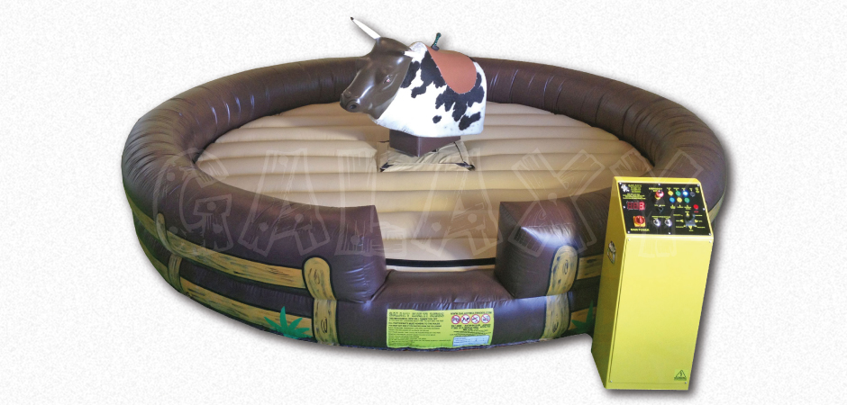 Mechanical Bull Rental