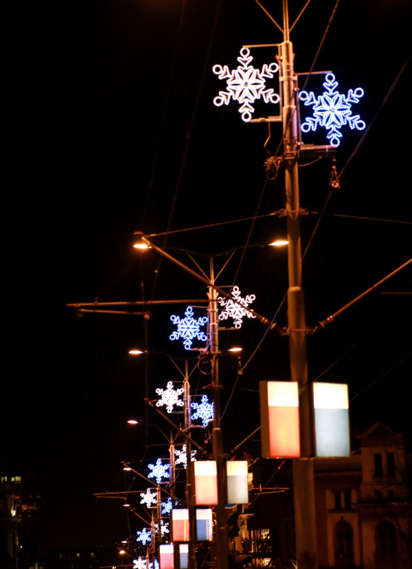 1-Holiday Street Lights -Snowflakes/decorative lighting & Holiday Entertainment - Image 8